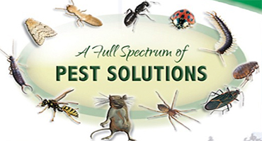 pest control killeen tx