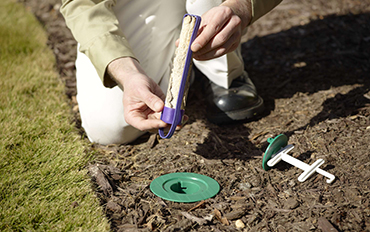 Termite Application